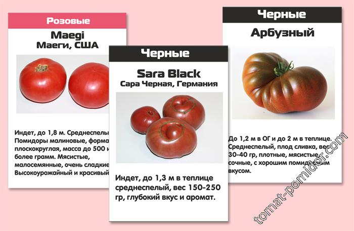 Яркие этикетки