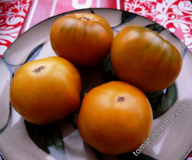 Orange Ghabbana (Оранжевый Габбана)