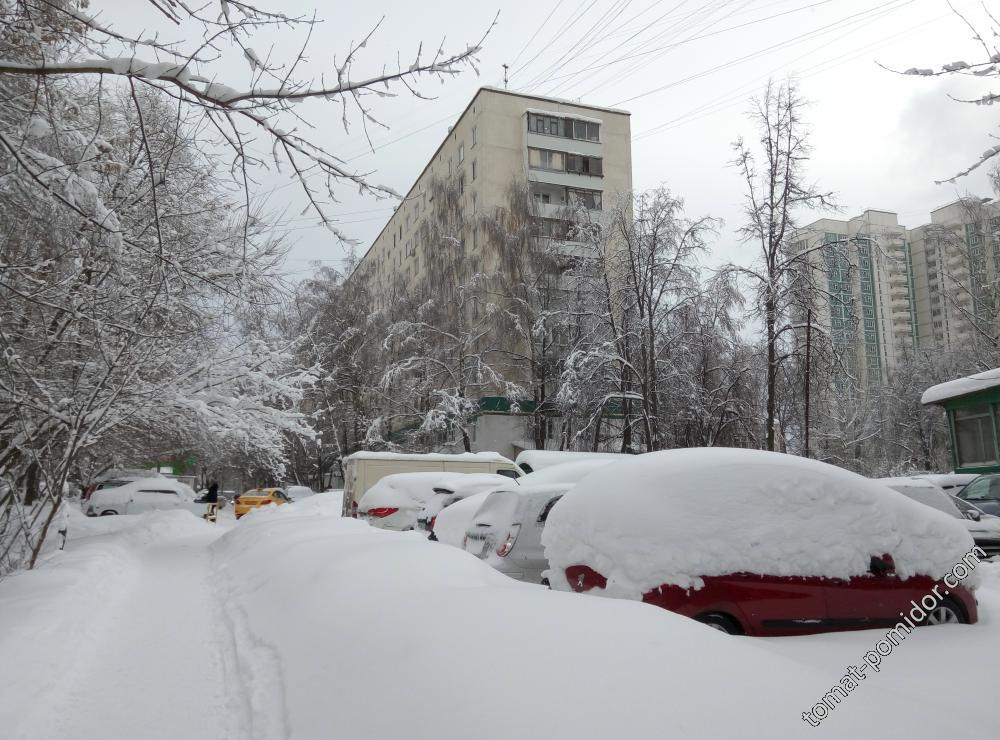 Москва 5 февраля, после снегопада столетия