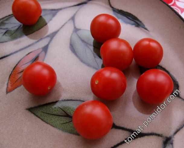 Iva's Red Berry (Красная ягода Ивы, Ивас Ред Берри)