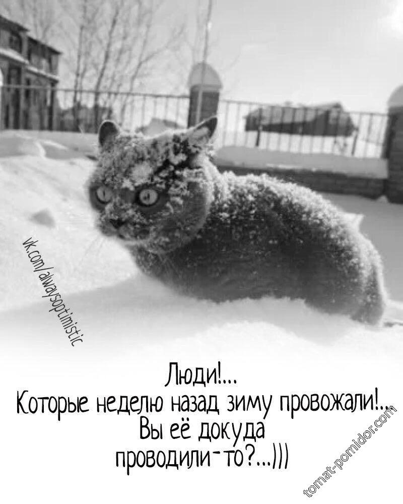 Непраздный вопрос...