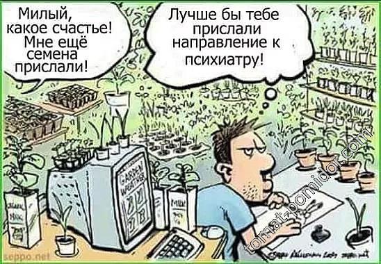 Разное