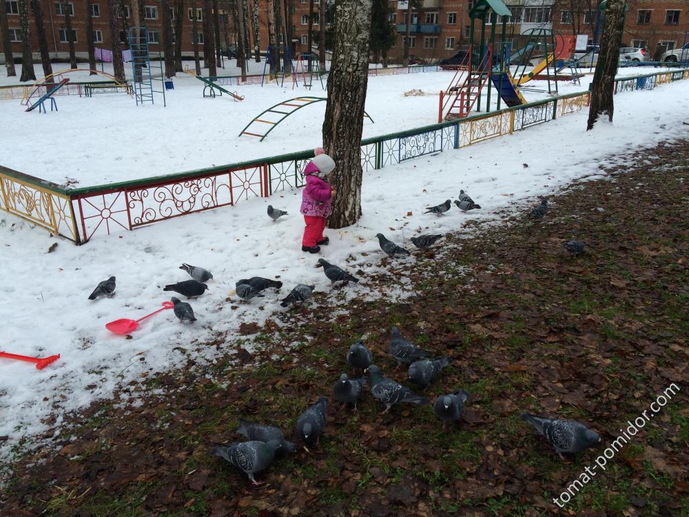 3 декабря 2017 удивительнаян зима в нашем посёлке -снег лежит только на детской площадке!