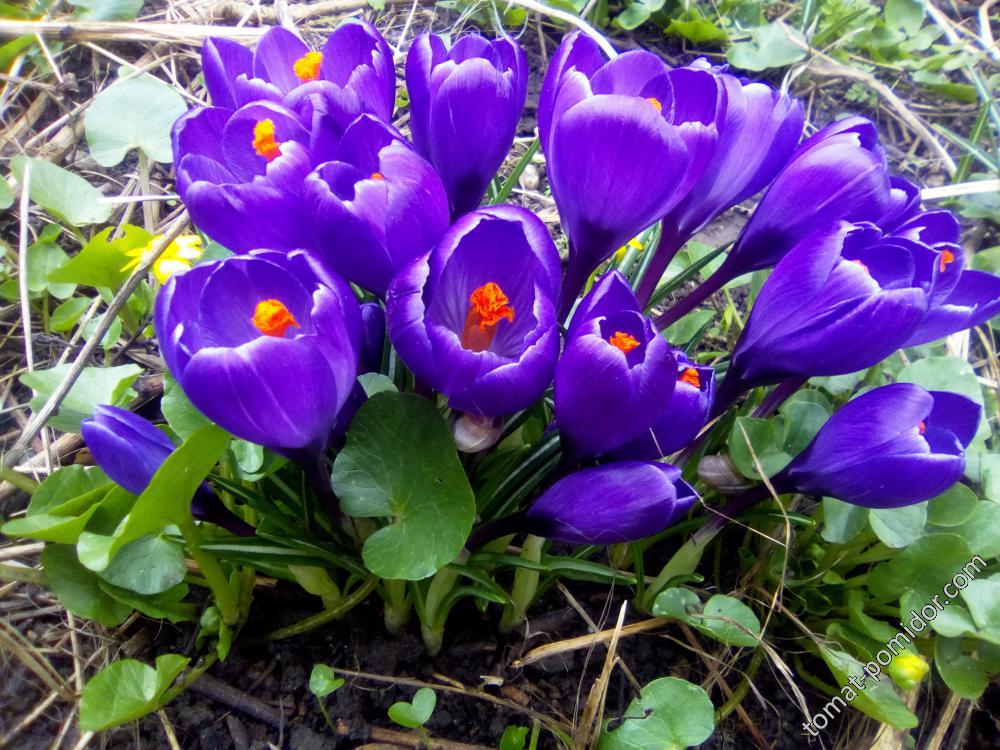 20.03.2018 г.