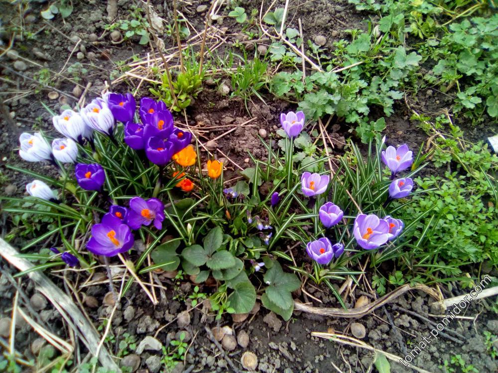 20.03.2018 г.