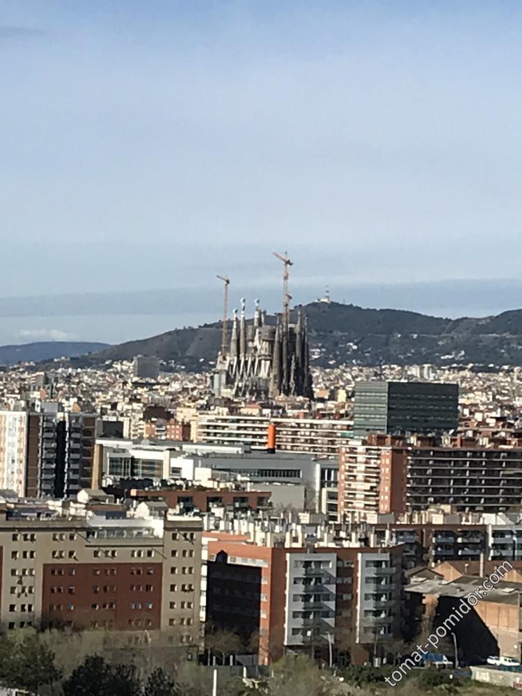 Барселона, вид из окна