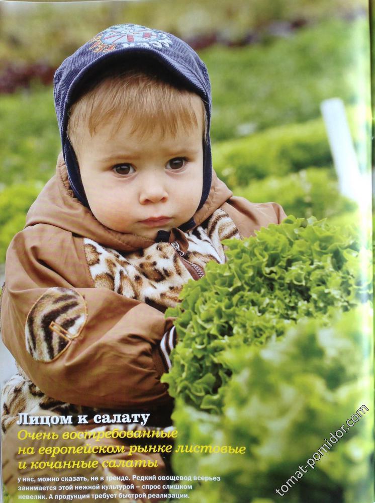 Салаты 1