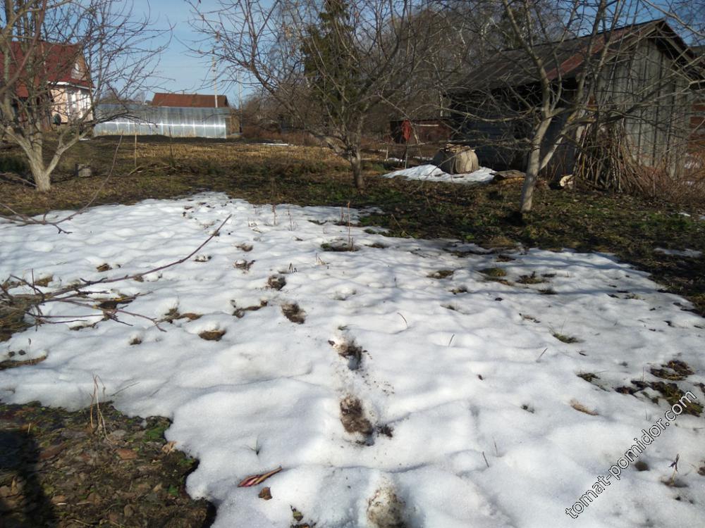 В саду