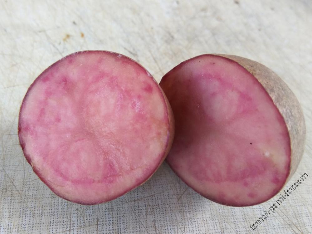 Картошка розовая