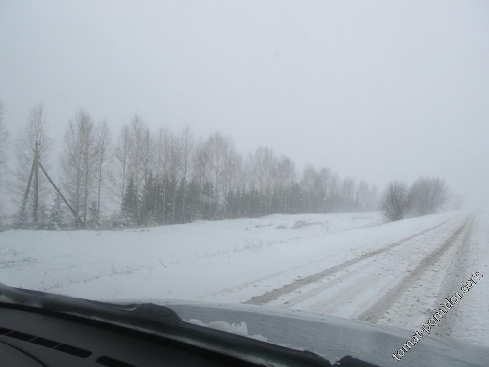 Дорога в город