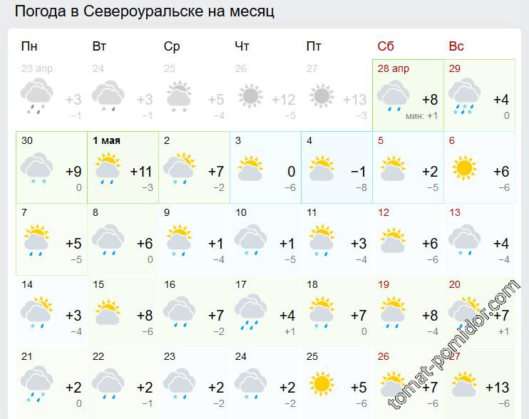 прогноз не радует