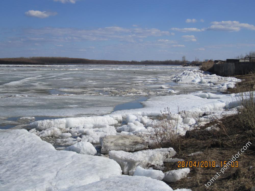 В затоне Оби лёд ещё стоит, мал уровень воды