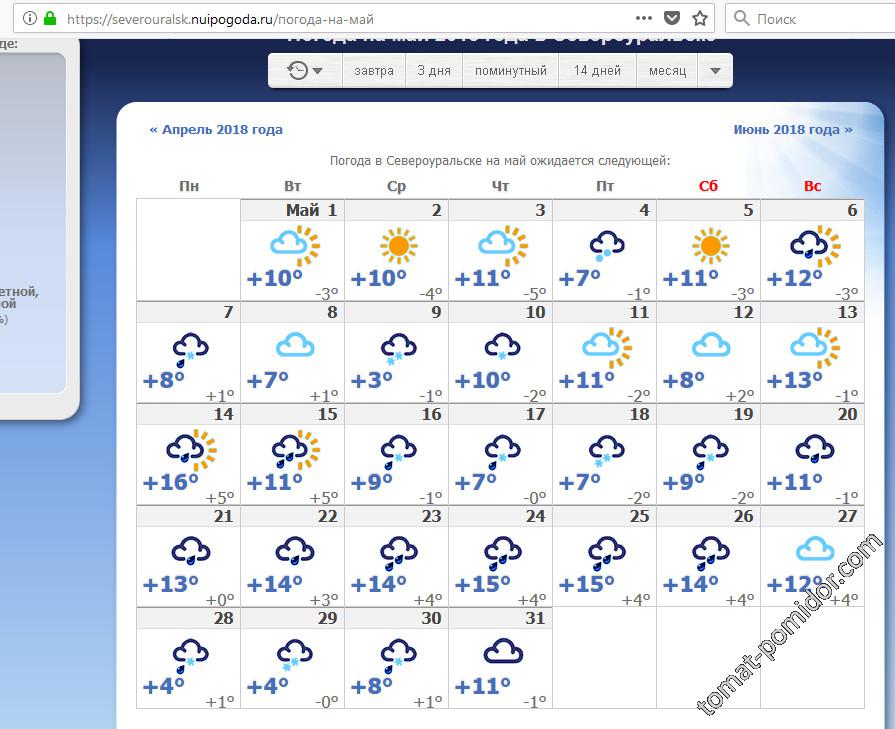 Прогноз погоды в североуральске на 14. Прогноз на май. Поминутный прогноз. Прогноз на апрель. Алиса показать погоду на весь май.