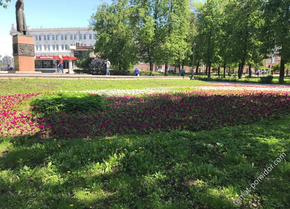 21.05 сквер на пл.Минина