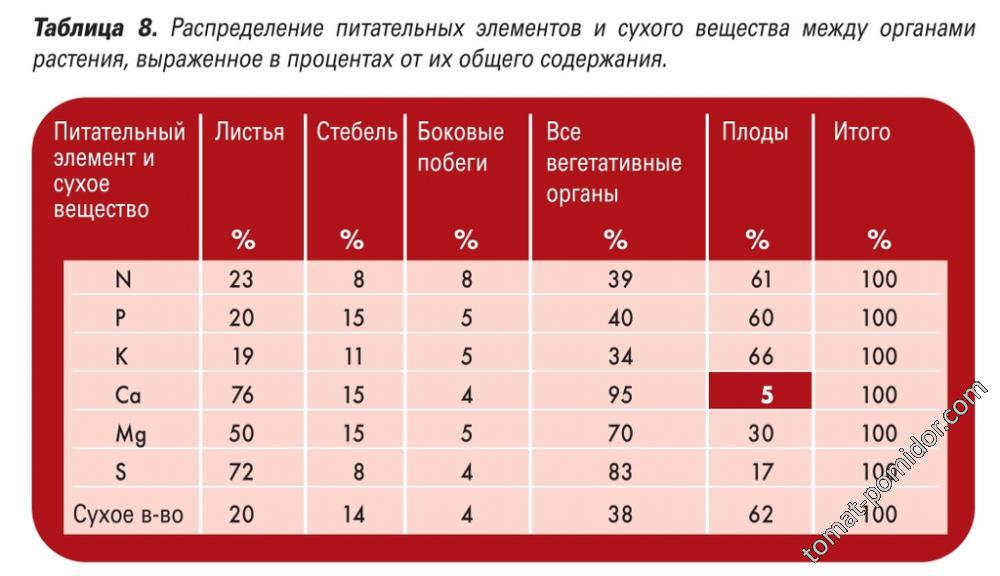 Распределение питательных элементов у томата