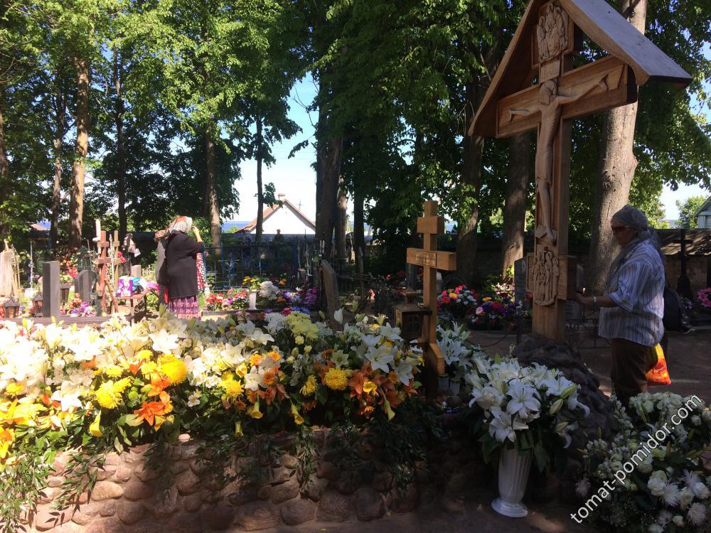 могилка батюшки Николая вся в цветах