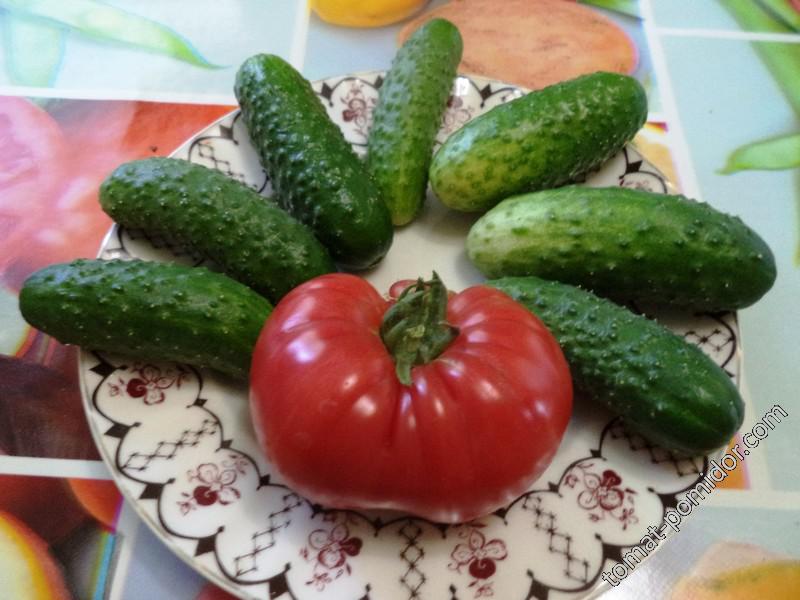 2018-06-13-на первый салатик с первой помидоркой