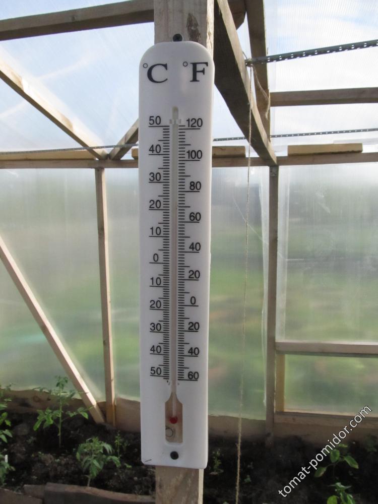 Термометр в теплице
