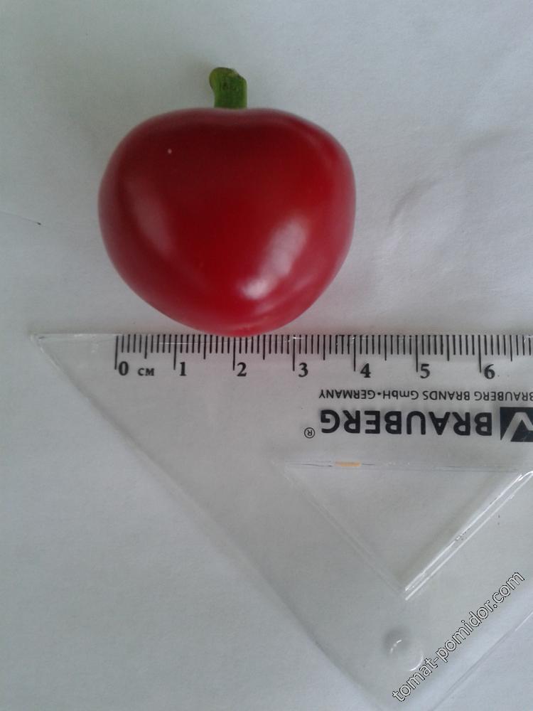 large red cherry