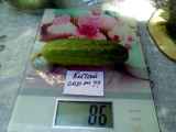 thumb_20504-250618072700.jpeg