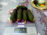 thumb_20504-250618073045.jpeg