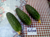 thumb_20504-250618073218.jpeg
