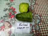 thumb_20504-250618111657.jpeg