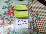 thumb_20504-250618111955.jpeg