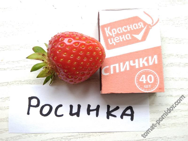 Росинка