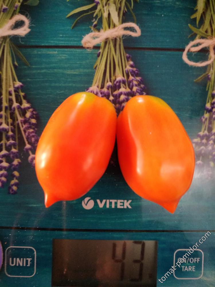 первые томаты 2018 года. Поцелуй Герани