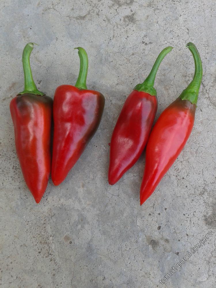 pimiento del piquillo и Рибки