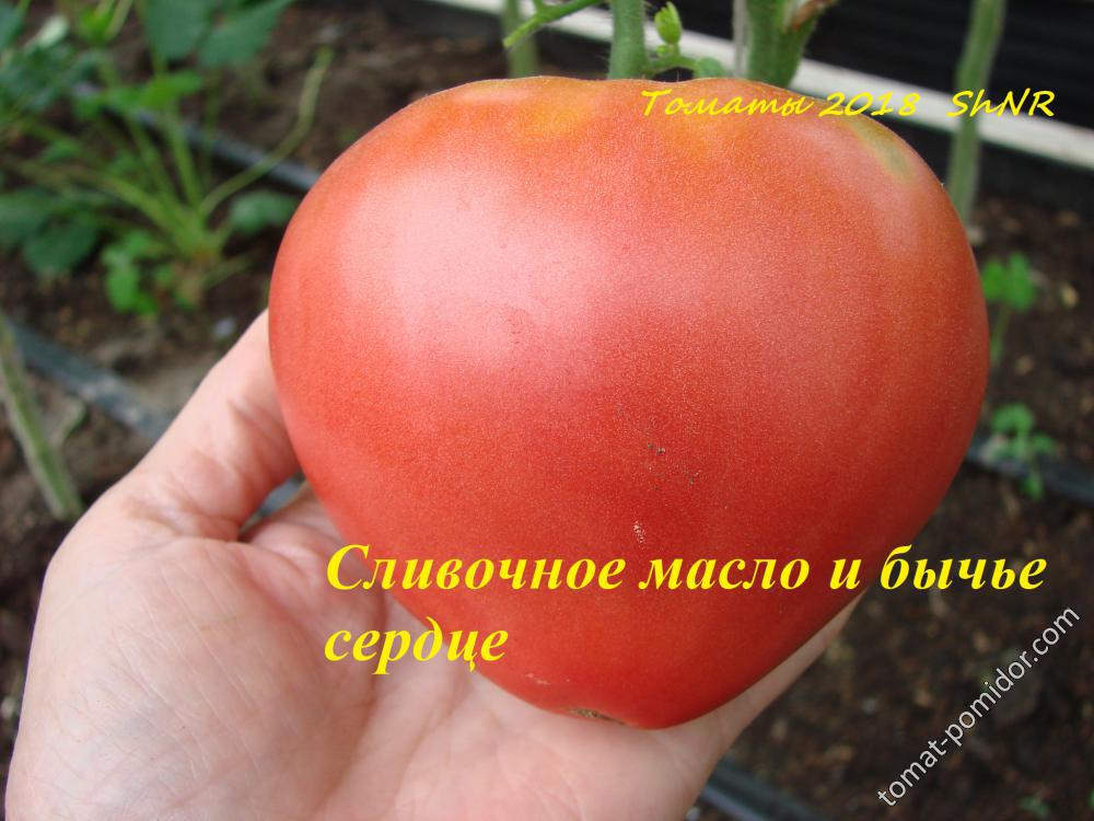 Сливочное масло и бычье сердце