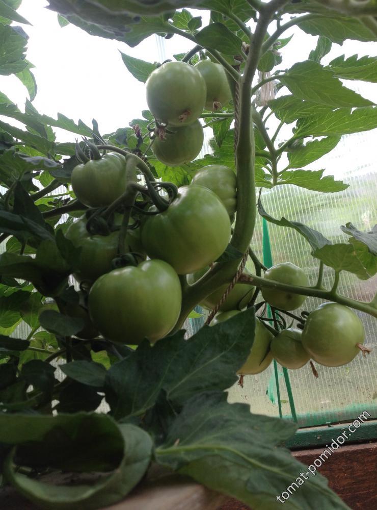 14163-110718111311.jpeg