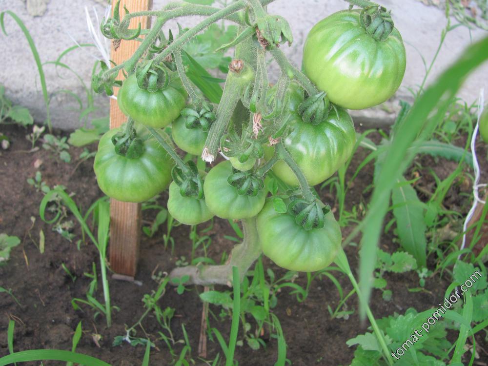 Supermarmande