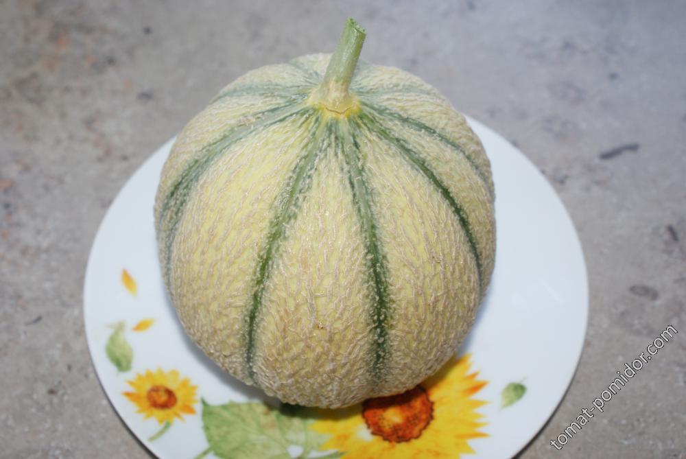 Кавайонская