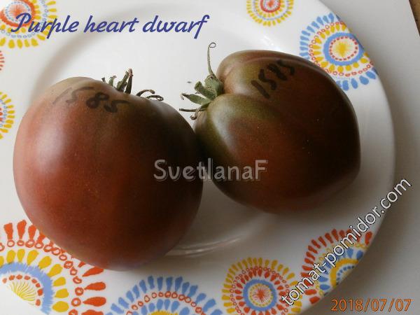 purple heart dwarf - /1585/