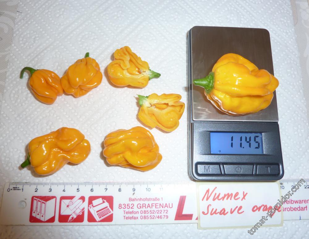 Numex Suave orange