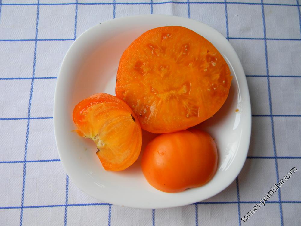 Амана Орандж (Amana orange, США), семена изначально от Редько