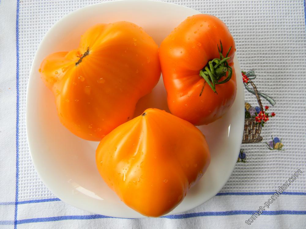 Оранжевая клубника (Orange Strawberry, Германия)