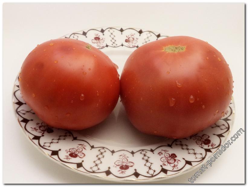 Томаты Приэльбрусья - Страница 3 - Дачные дневники 2018 - tomat-pomidor.com  - форум