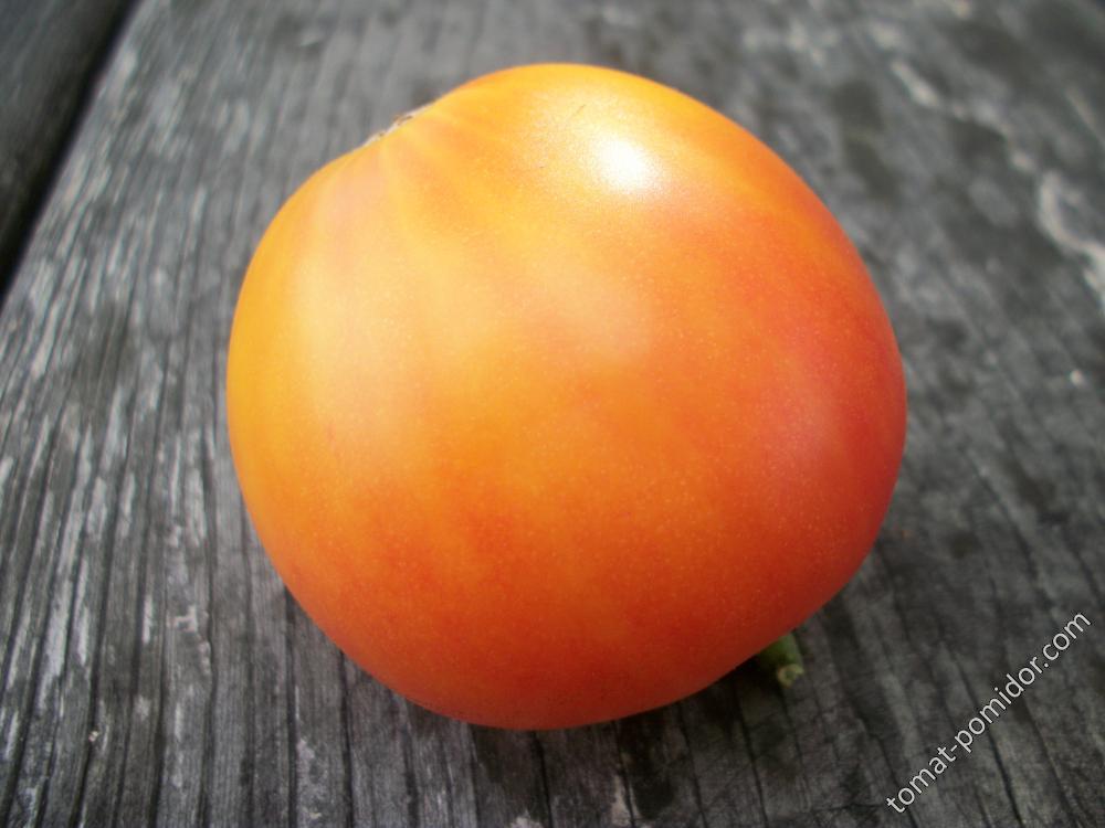 томат Couere de Zebre Apricot