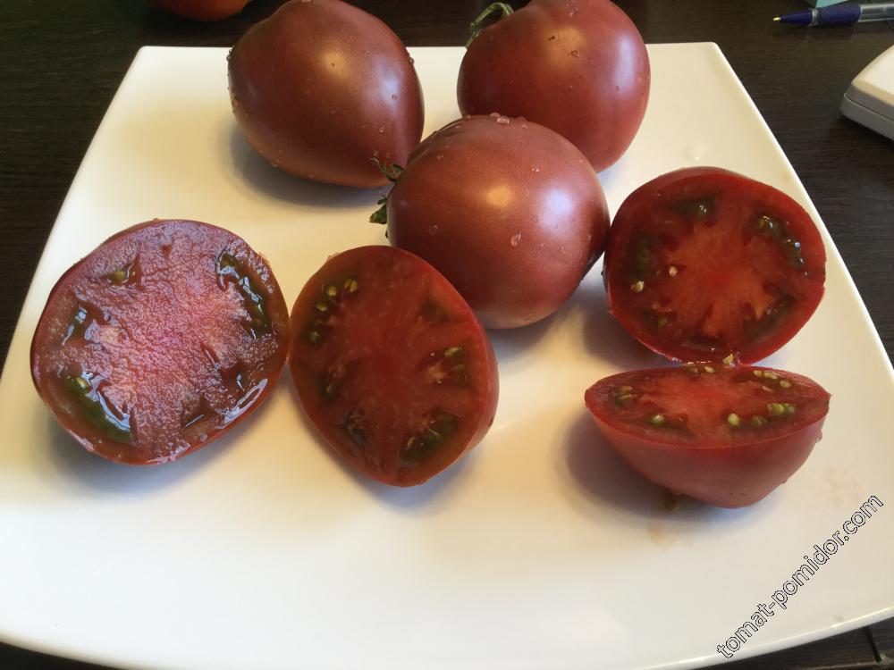 Гном томатный Purple heart