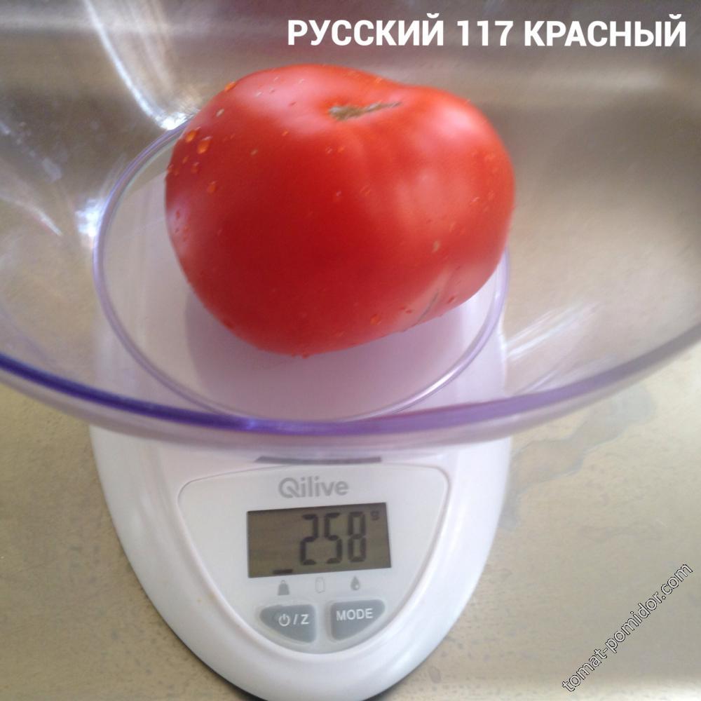 Русский 117 красный