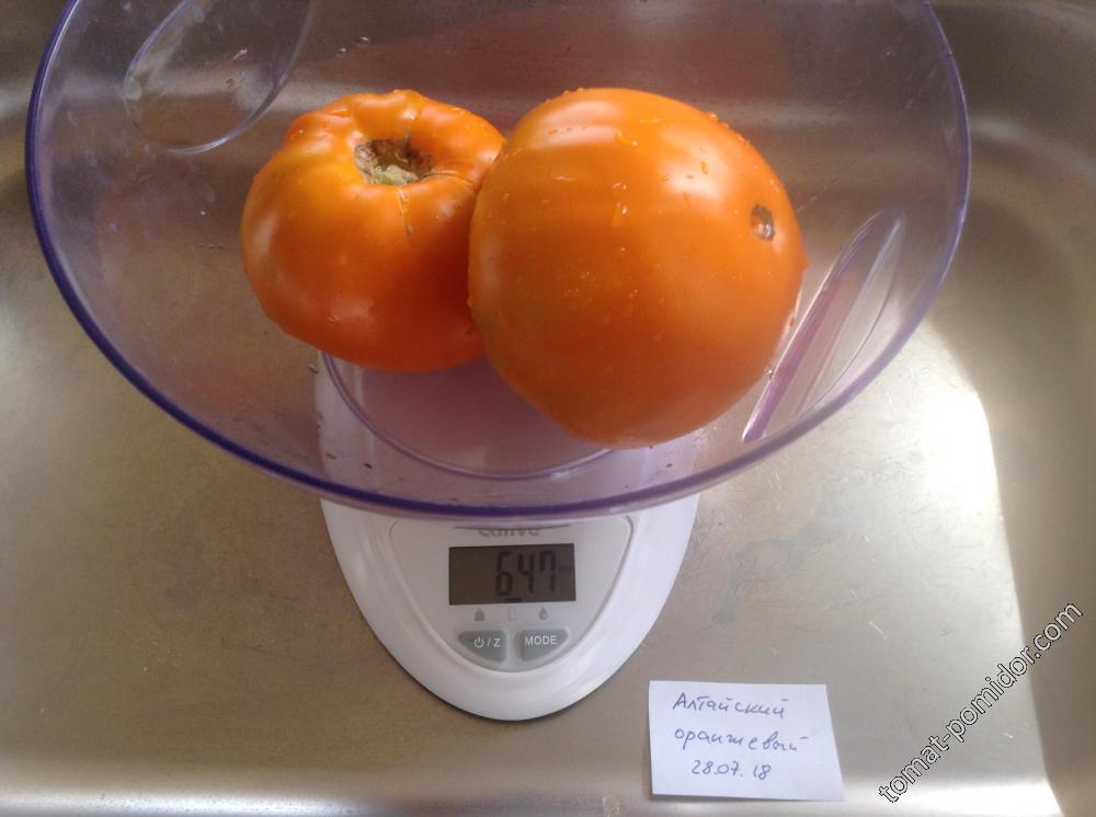 Ал��айский оранжевый - А — сорта томатов - tomat-pomidor.com - отзывы нафоруме