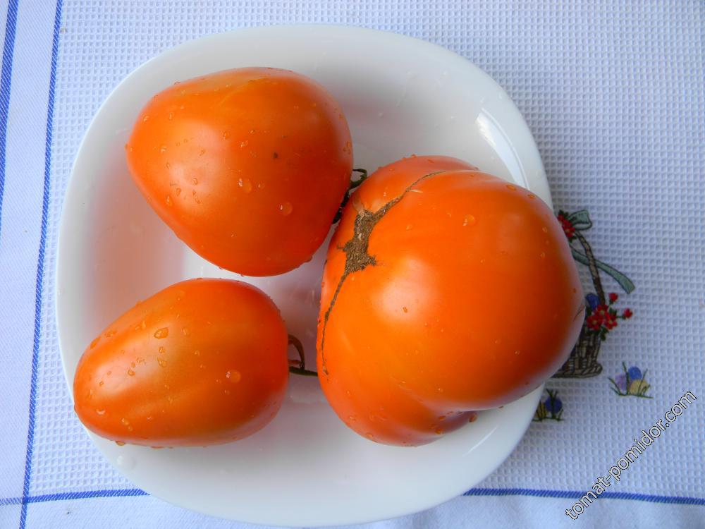 Орандж Оксхарт (Orange Oxheart) США, семена от Редько