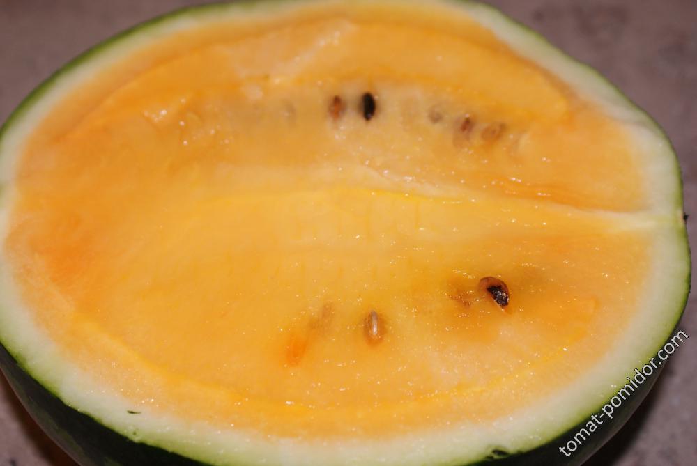 Summer Orange Middle