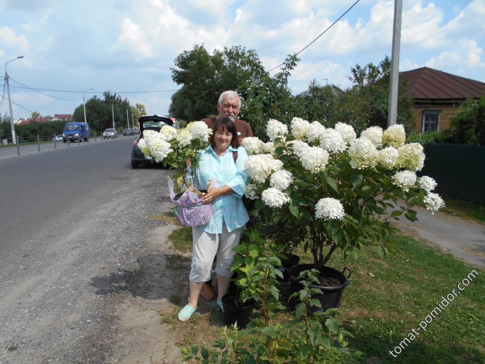 Лена А