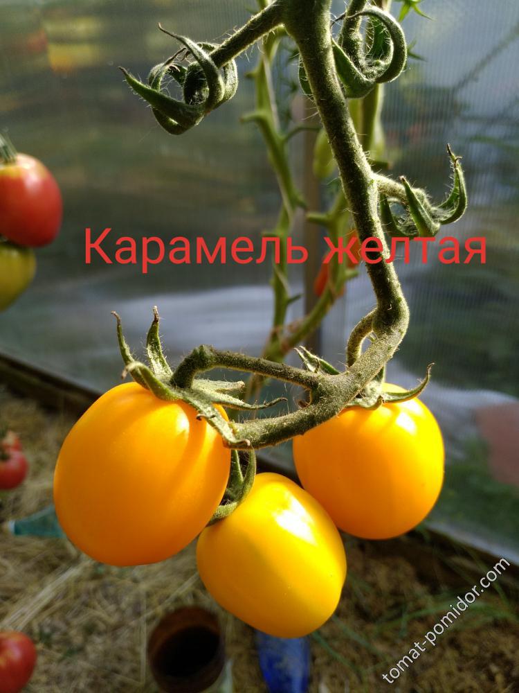 карамель желтая