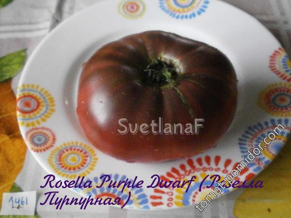 rosella purple dwarf