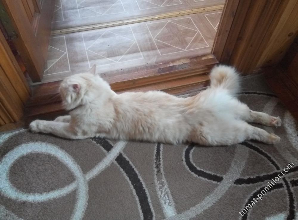 Лежачий полицейский